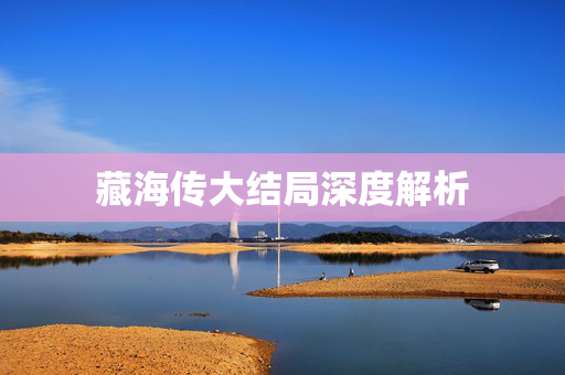 藏海传大结局深度解析