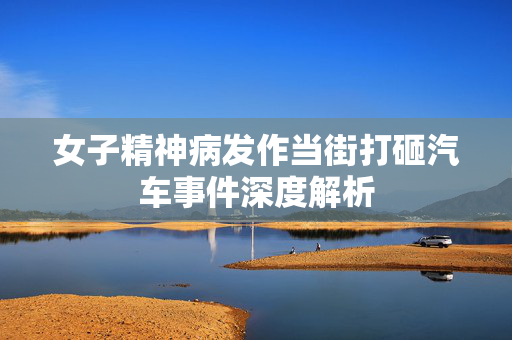 女子精神病发作当街打砸汽车事件深度解析