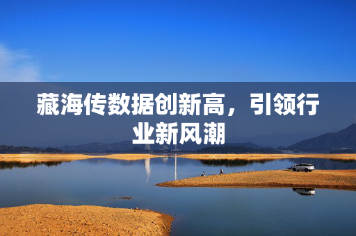 藏海传数据创新高，引领行业新风潮