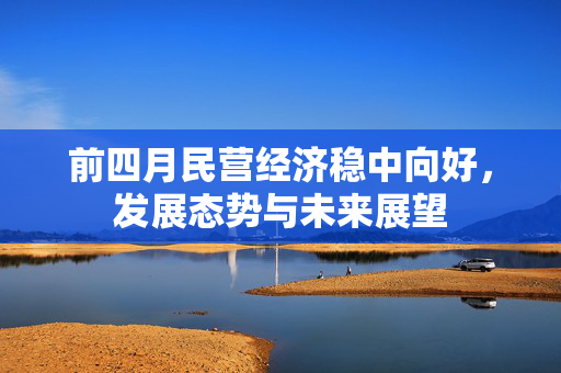 前四月民营经济稳中向好，发展态势与未来展望