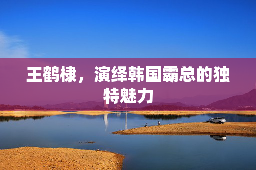 王鹤棣，演绎韩国霸总的独特魅力