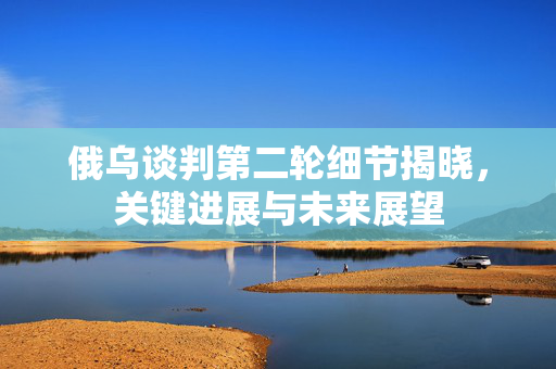 俄乌谈判第二轮细节揭晓，关键进展与未来展望