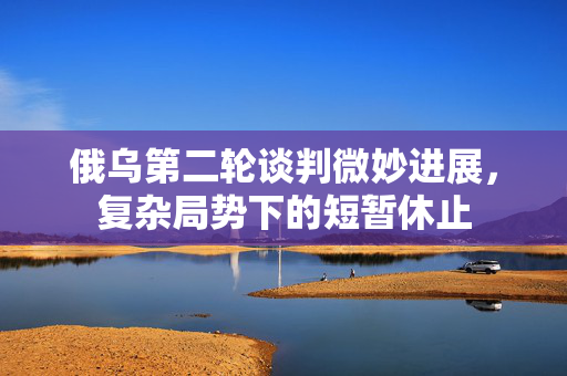 俄乌第二轮谈判微妙进展，复杂局势下的短暂休止