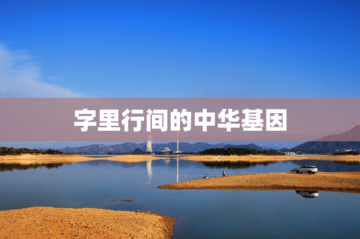 字里行间的中华基因