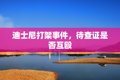 迪士尼打架事件，待查证是否互殴