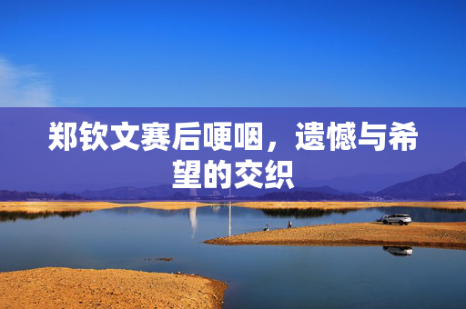 郑钦文赛后哽咽，遗憾与希望的交织