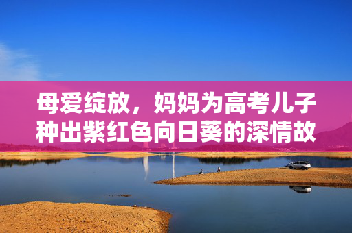 母爱绽放，妈妈为高考儿子种出紫红色向日葵的深情故事