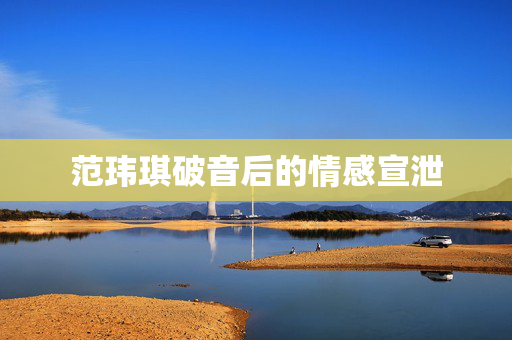 范玮琪破音后的情感宣泄