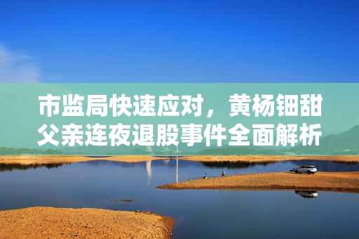 市监局快速应对，黄杨钿甜父亲连夜退股事件全面解析