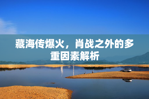 藏海传爆火，肖战之外的多重因素解析