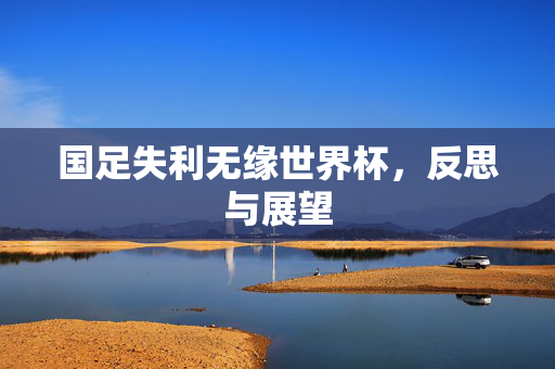 国足失利无缘世界杯，反思与展望