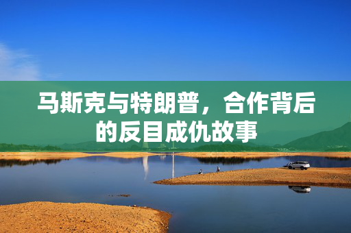 马斯克与特朗普，合作背后的反目成仇故事