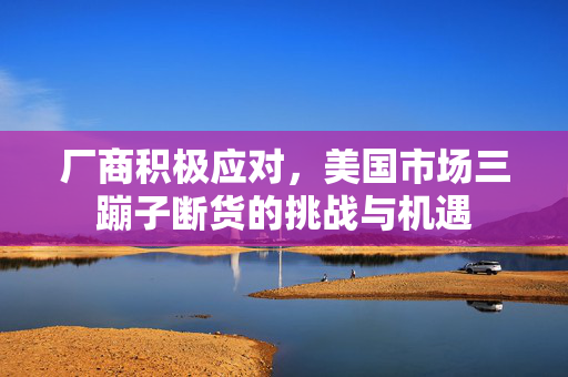 厂商积极应对，美国市场三蹦子断货的挑战与机遇
