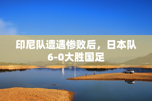 印尼队遭遇惨败后，日本队6-0大胜国足