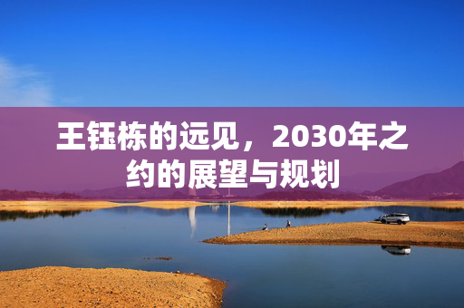 王钰栋的远见，2030年之约的展望与规划
