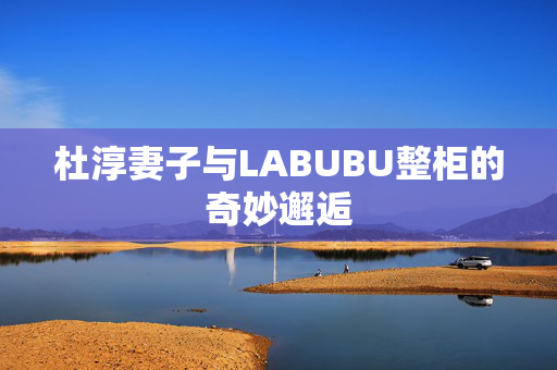 杜淳妻子与LABUBU整柜的奇妙邂逅