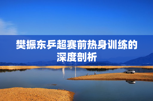樊振东乒超赛前热身训练的深度剖析