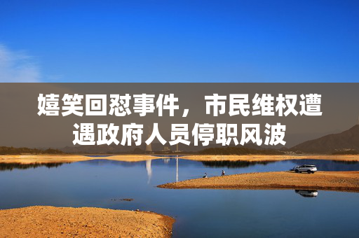 嬉笑回怼事件，市民维权遭遇政府人员停职风波