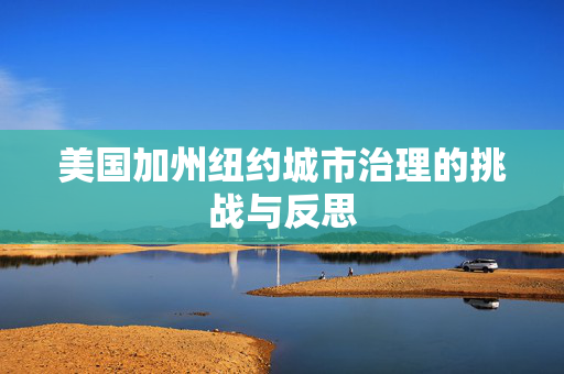 美国加州纽约城市治理的挑战与反思