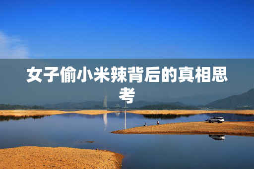 女子偷小米辣背后的真相思考