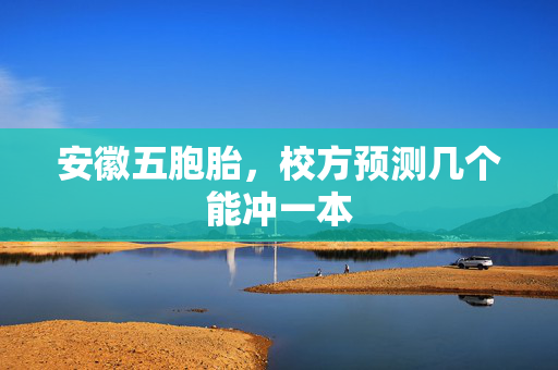 安徽五胞胎，校方预测几个能冲一本