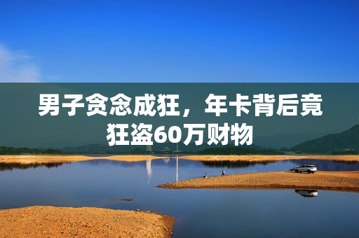男子贪念成狂，年卡背后竟狂盗60万财物