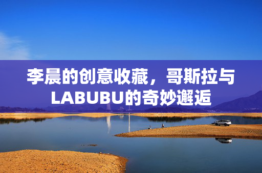 李晨的创意收藏，哥斯拉与LABUBU的奇妙邂逅