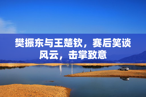 樊振东与王楚钦，赛后笑谈风云，击掌致意