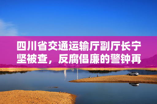 四川省交通运输厅副厅长宁坚被查，反腐倡廉的警钟再次敲响