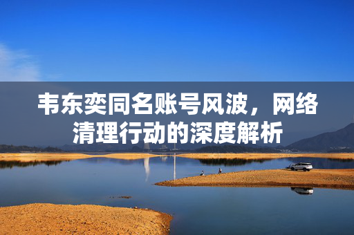 韦东奕同名账号风波，网络清理行动的深度解析