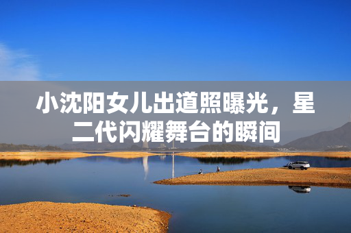 小沈阳女儿出道照曝光，星二代闪耀舞台的瞬间