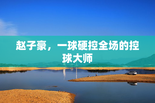 赵子豪，一球硬控全场的控球大师
