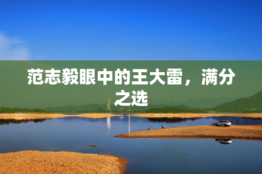 范志毅眼中的王大雷，满分之选