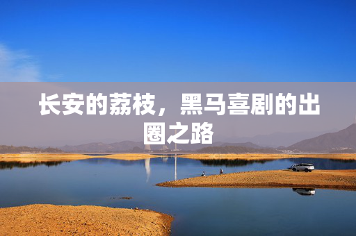长安的荔枝，黑马喜剧的出圈之路