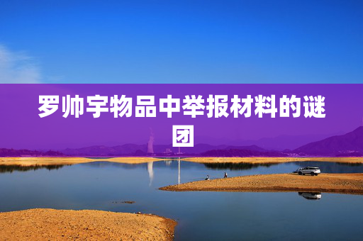 罗帅宇物品中举报材料的谜团
