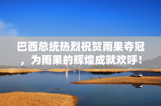 巴西总统热烈祝贺雨果夺冠，为雨果的辉煌成就欢呼！