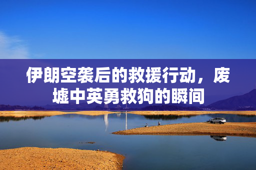 伊朗空袭后的救援行动，废墟中英勇救狗的瞬间