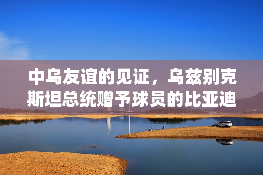 中乌友谊的见证，乌兹别克斯坦总统赠予球员的比亚迪汽车