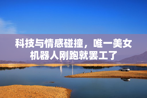 科技与情感碰撞，唯一美女机器人刚跑就罢工了