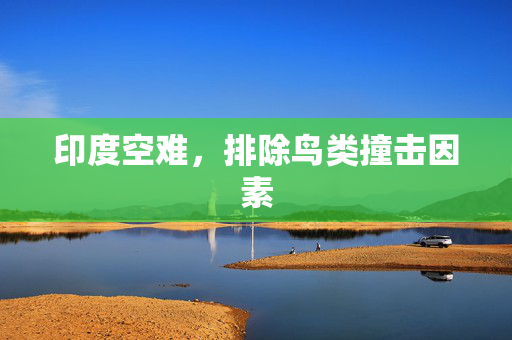 印度空难，排除鸟类撞击因素