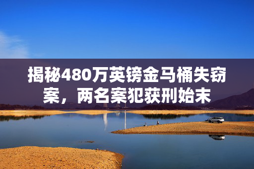 揭秘480万英镑金马桶失窃案，两名案犯获刑始末