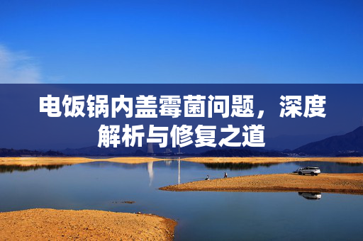 电饭锅内盖霉菌问题，深度解析与修复之道