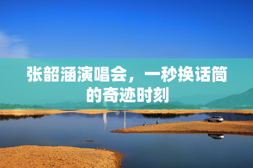 张韶涵演唱会，一秒换话筒的奇迹时刻