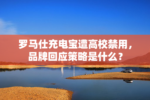 罗马仕充电宝遭高校禁用，品牌回应策略是什么？