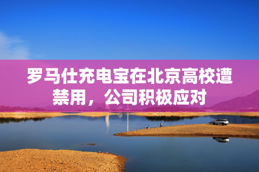 罗马仕充电宝在北京高校遭禁用，公司积极应对