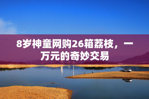 8岁神童网购26箱荔枝，一万元的奇妙交易