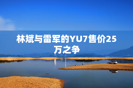 林斌与雷军的YU7售价25万之争