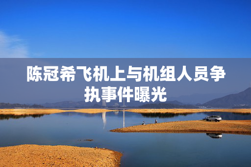 陈冠希飞机上与机组人员争执事件曝光