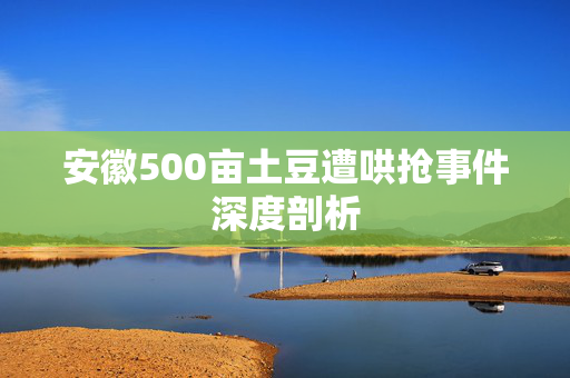 安徽500亩土豆遭哄抢事件深度剖析