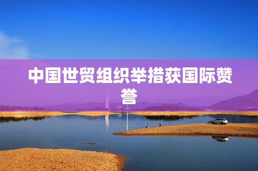 中国世贸组织举措获国际赞誉